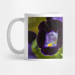 Colourful Gloxinia Mug